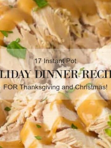 instant pot holiday recipes