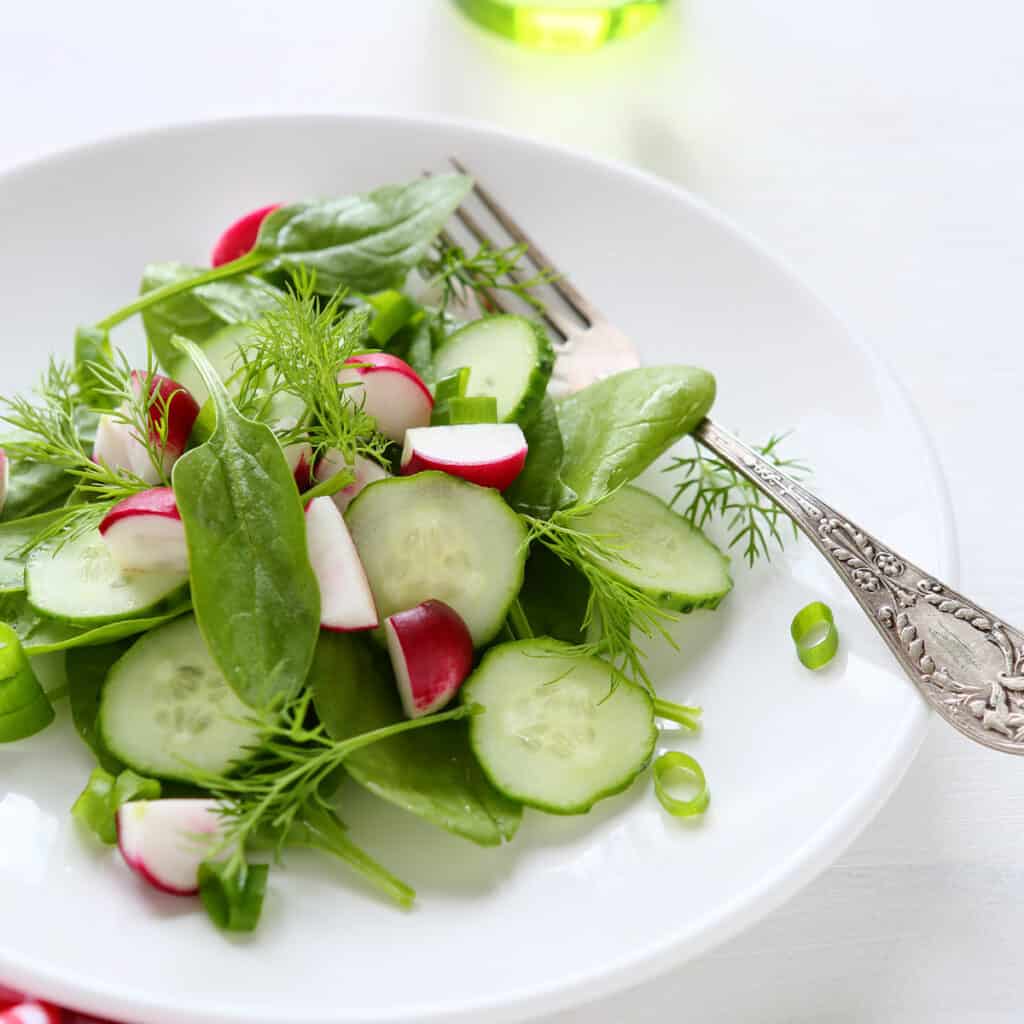 cucumbers and radishes salad makes a great snacks with no carbs