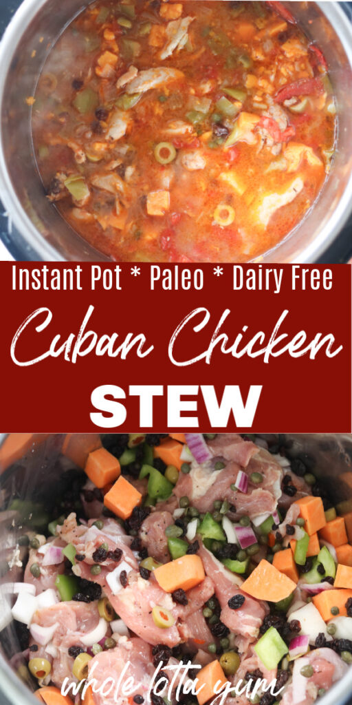 instant pot chicken stew recipe