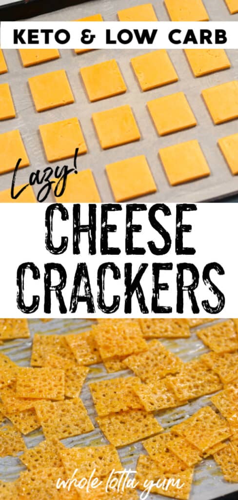 cheese crackers with sliced cheese