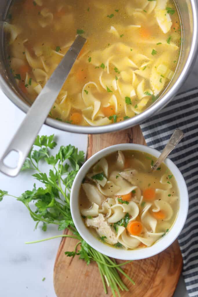 chicken noodle soup instapot