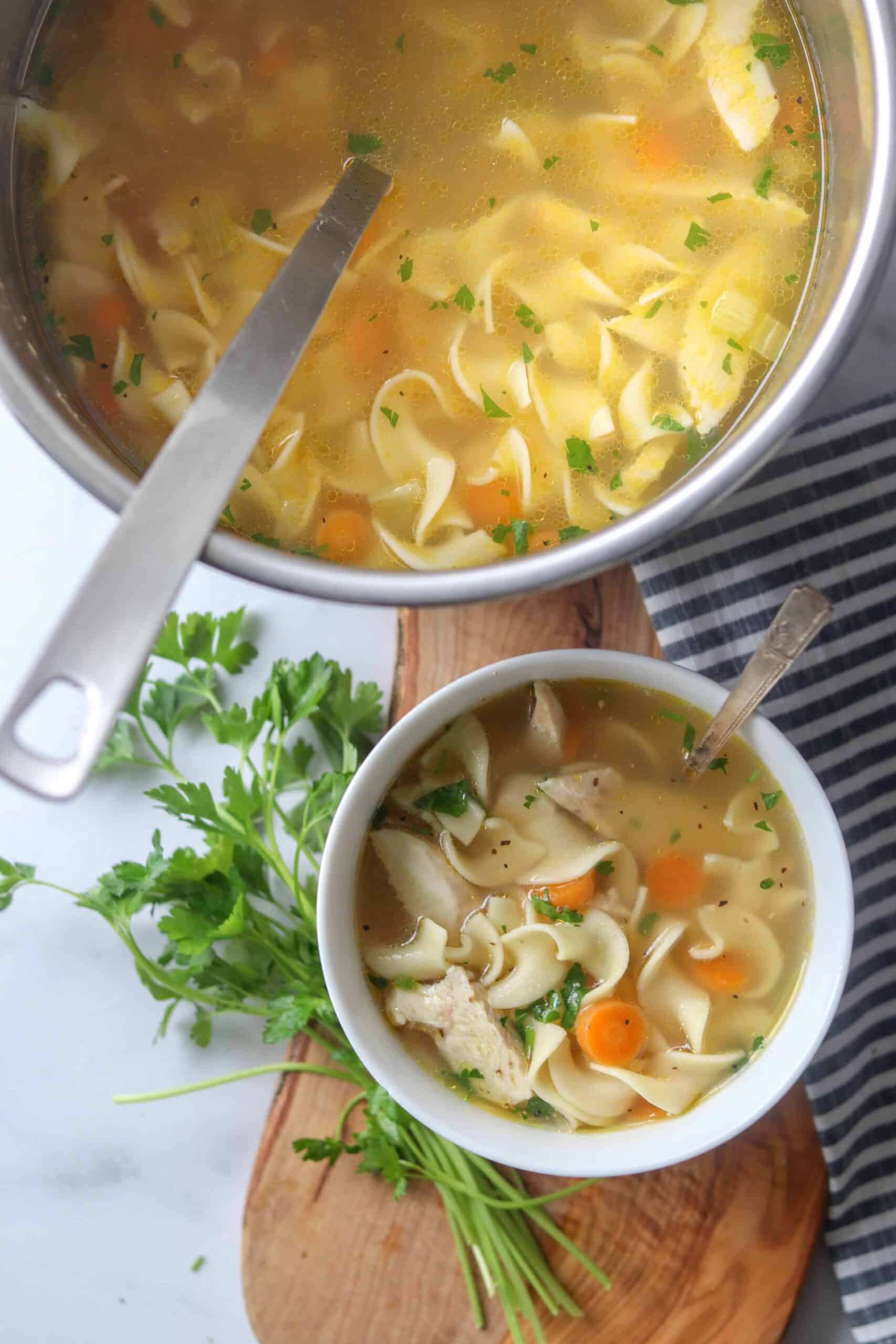 chicken noodle soup instapot