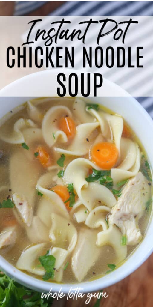 pressure cooker chicken noodle soup in a bowl
