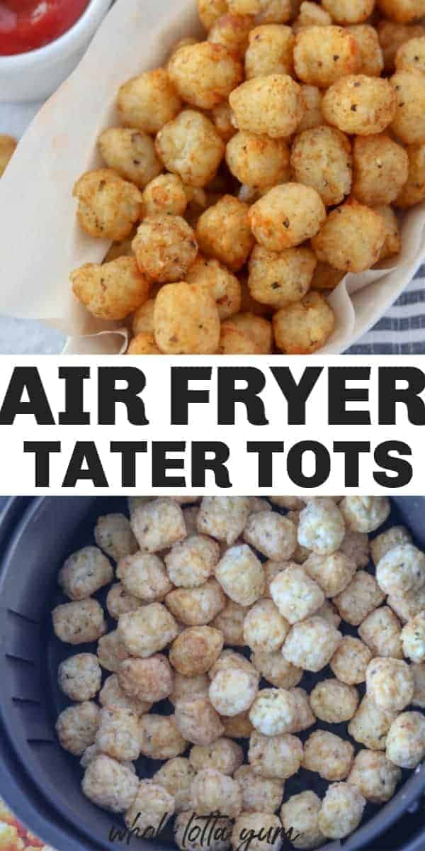 air fryer frozen tater tots Pinterest pin