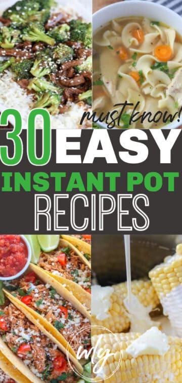 instapot recipes