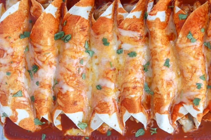 keto enchiladas in a pan with red sauce
