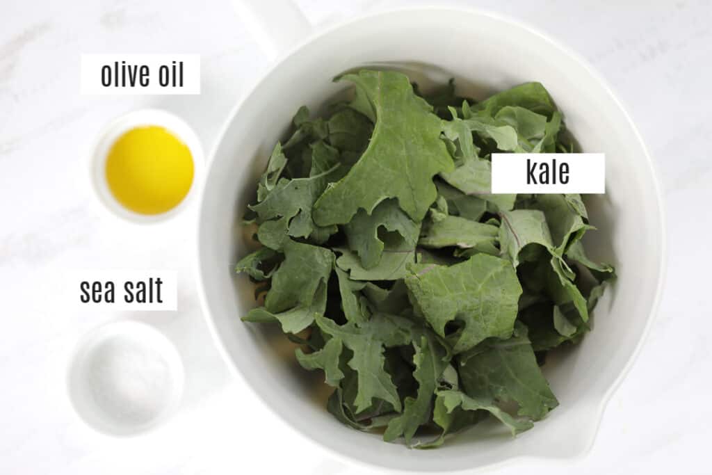 kale air fryer recipe ingredients photo