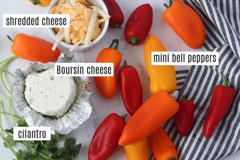 stuffed mini peppers vegetarian appetizer ingredients photo