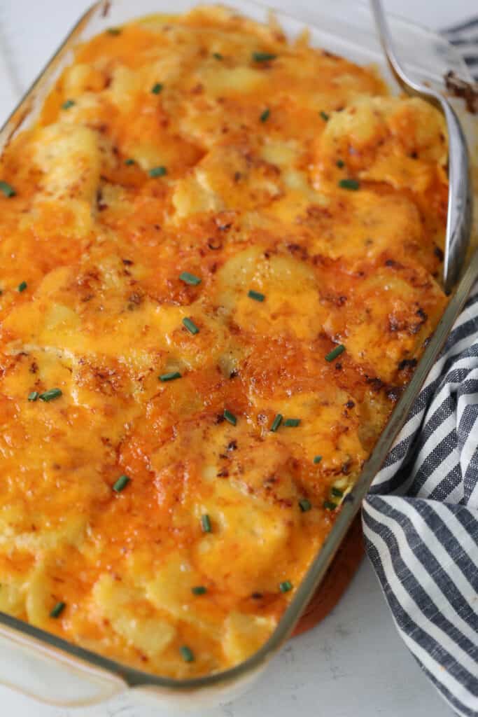 pressure cooker scalloped potatoes in a glass pan after broiling