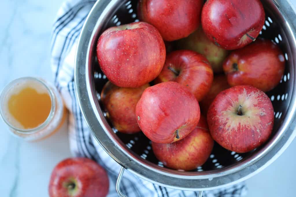 pressure cooker applesauce ingredients on a white background