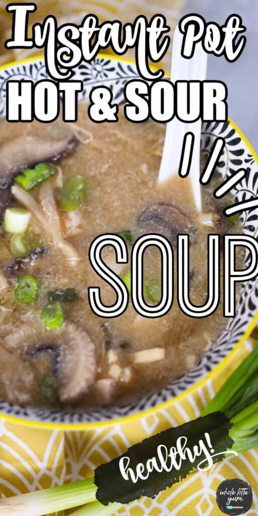 instant pot hot and sour soup pin for Pinterest