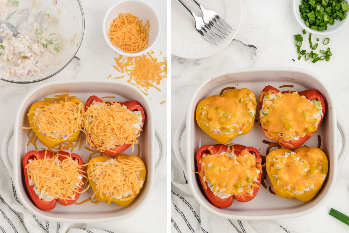 adding cheese to the top of the tuna stuffed peppers before baking to melt the cheese