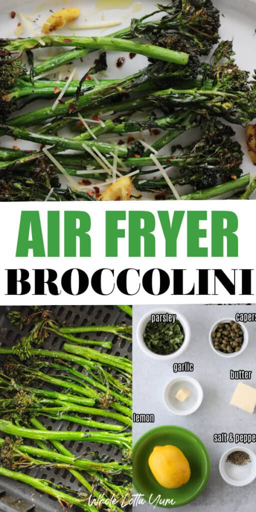 air fryer broccolini recipe and ingredients