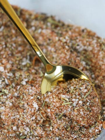 dry turkey rub for smoking close up image on a spoon