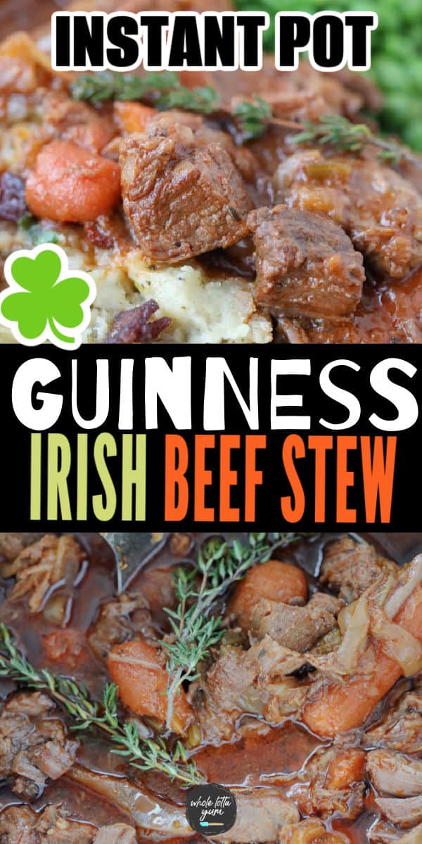 Irish stew with beer recipe pin