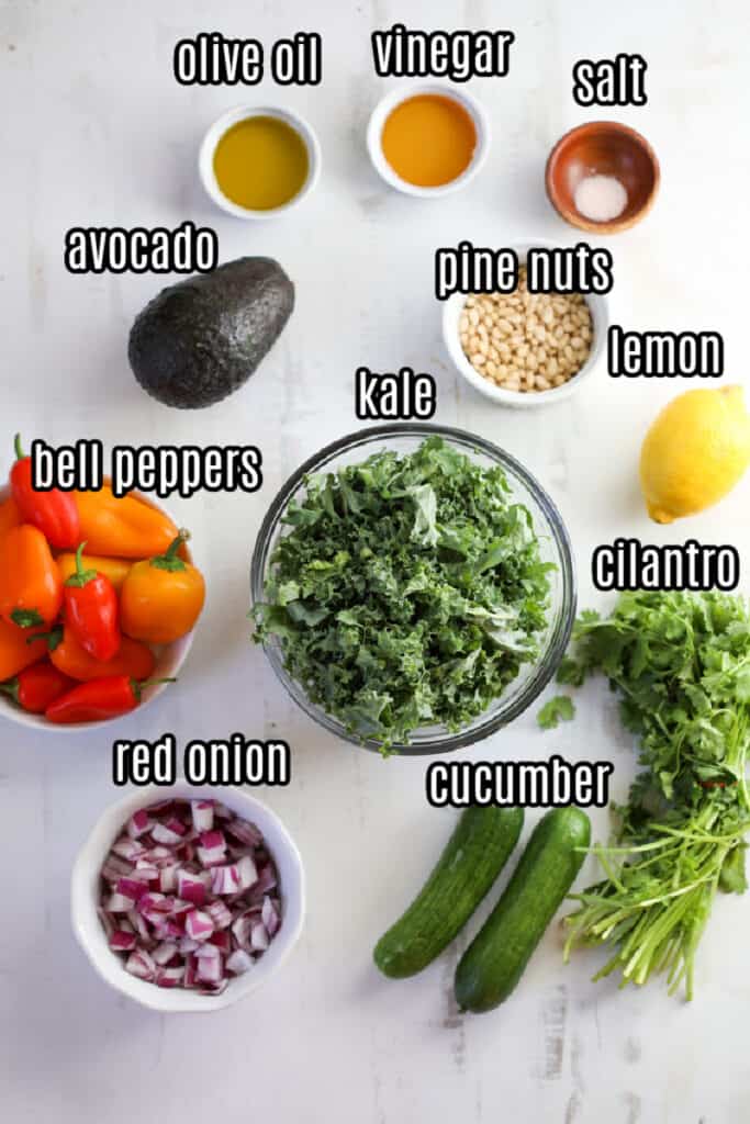 avocado and kale salad ingredients in dishes