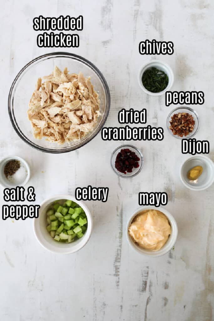 chicken salad with cranberries 2 ingredients