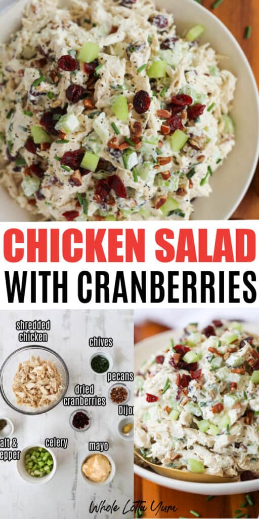chicken salad with cranberries recipe healthy and so easy