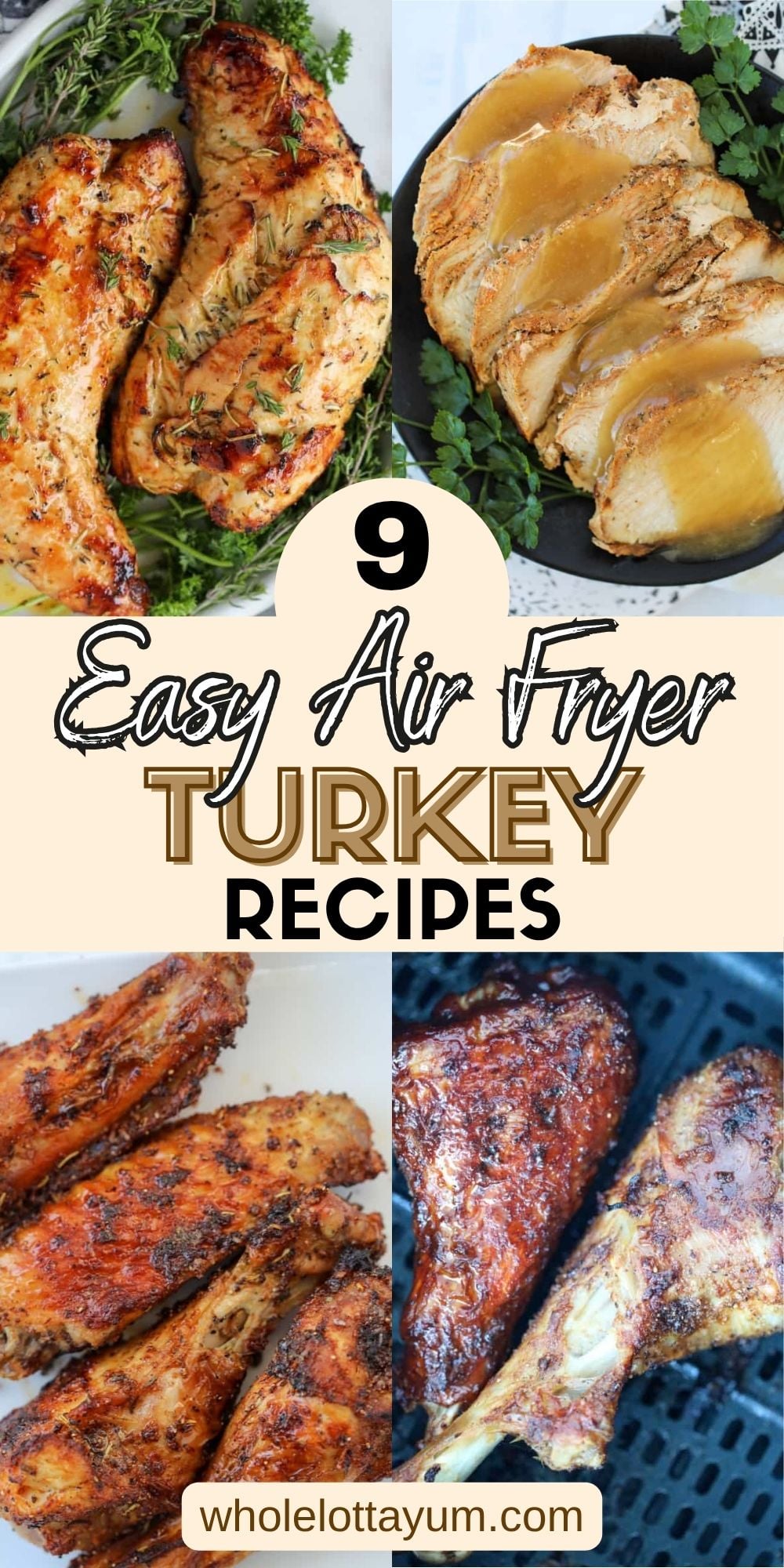 9 Air Fryer Turkey Recipes Pinterest pins