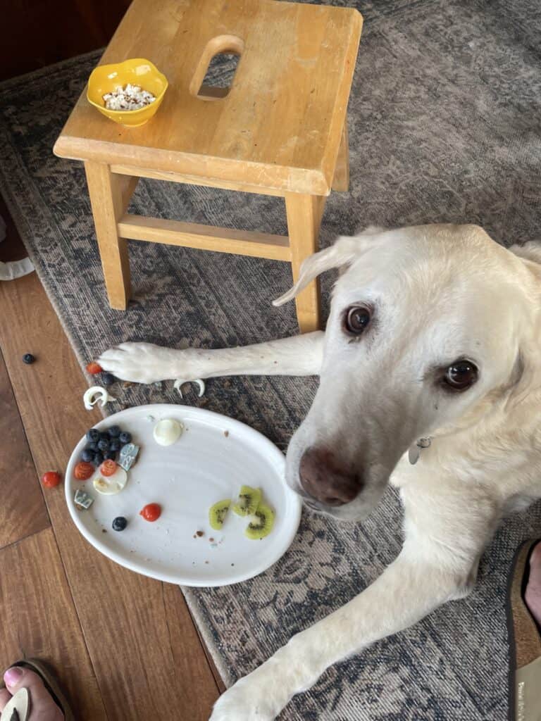 barkuterie board eaten and enjoyed