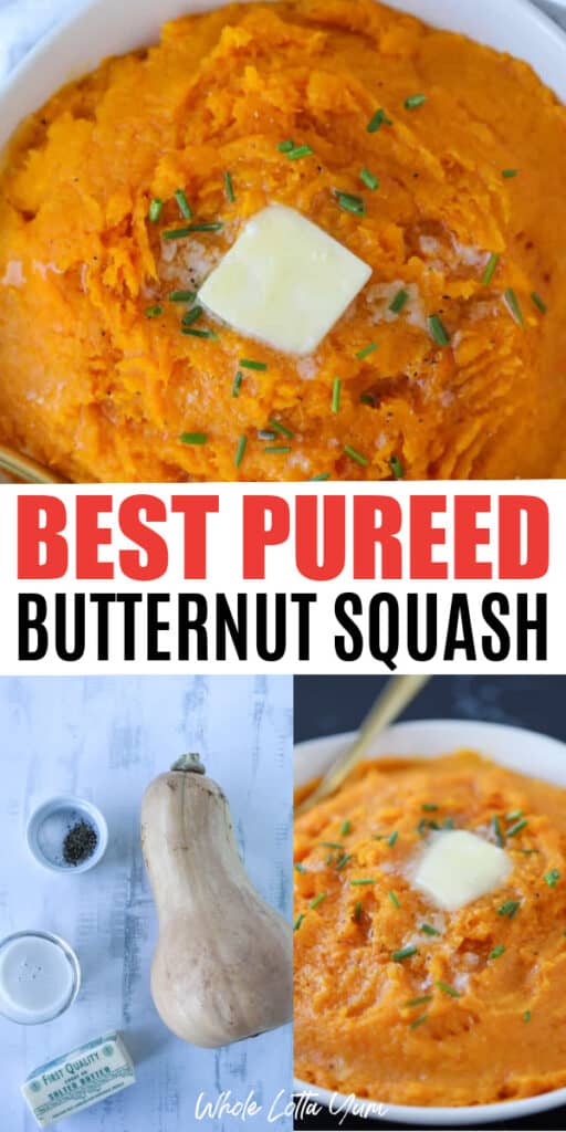 best pureed butternut squash healthy recipe