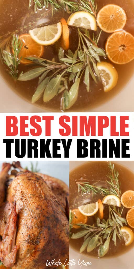 best simple turkey brine recipe for the holidays and any occassion