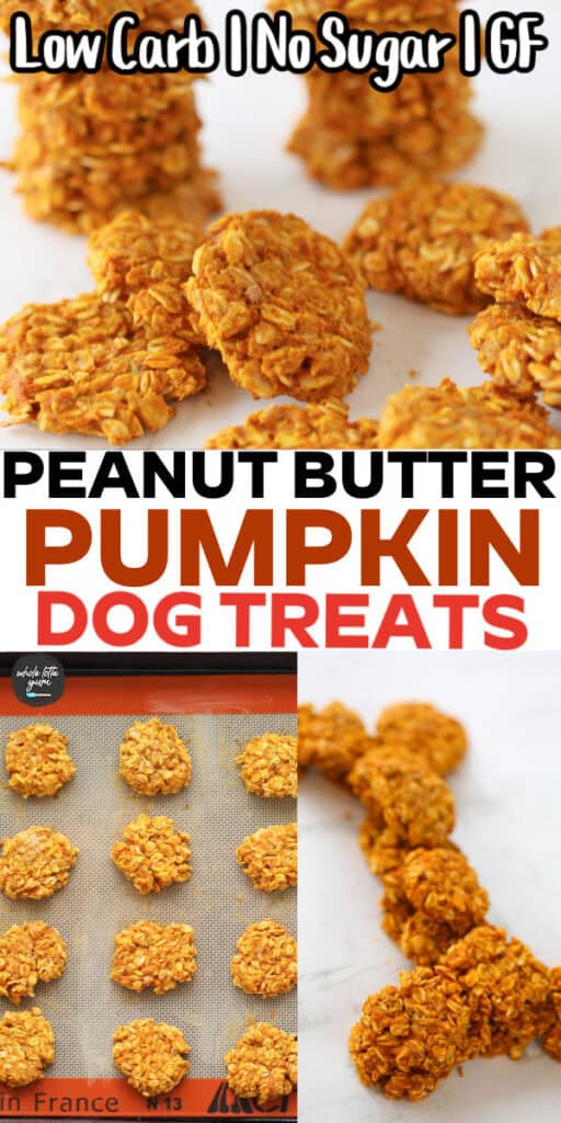 homemade dog treats pin for pinterest