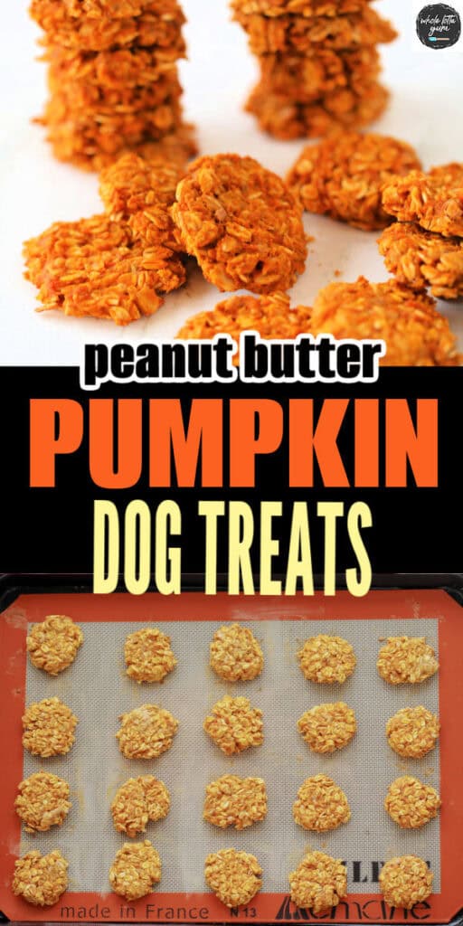 dog treats recipe pin for social media