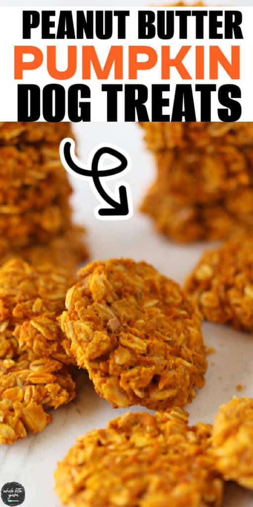 diy healthy dog treats recipe pin for pinterest