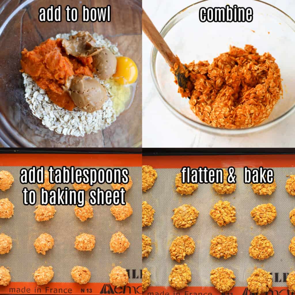 homemade pumpkin dog treats 3 easy step by step recipe