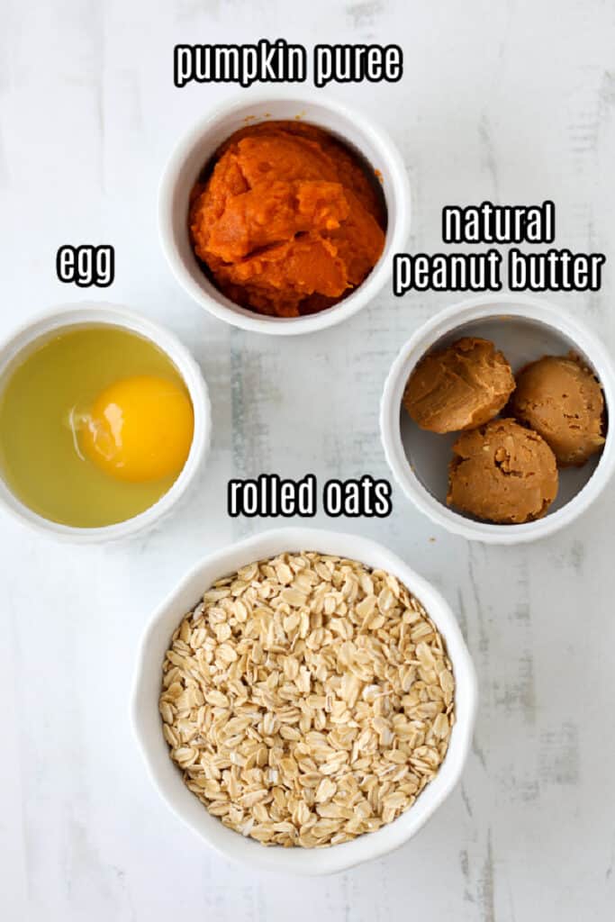 peanut butter and pumpkin dog treats ingredients 2 easy recipe minimal ingredients