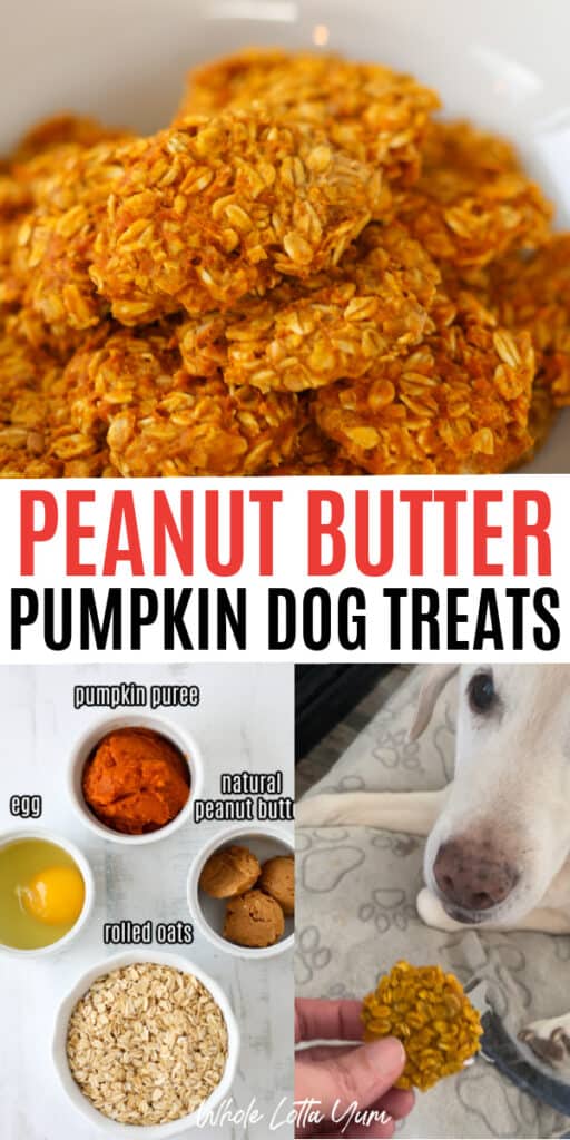 peanut butter pumpkin dog treats super easy recipe for dog food