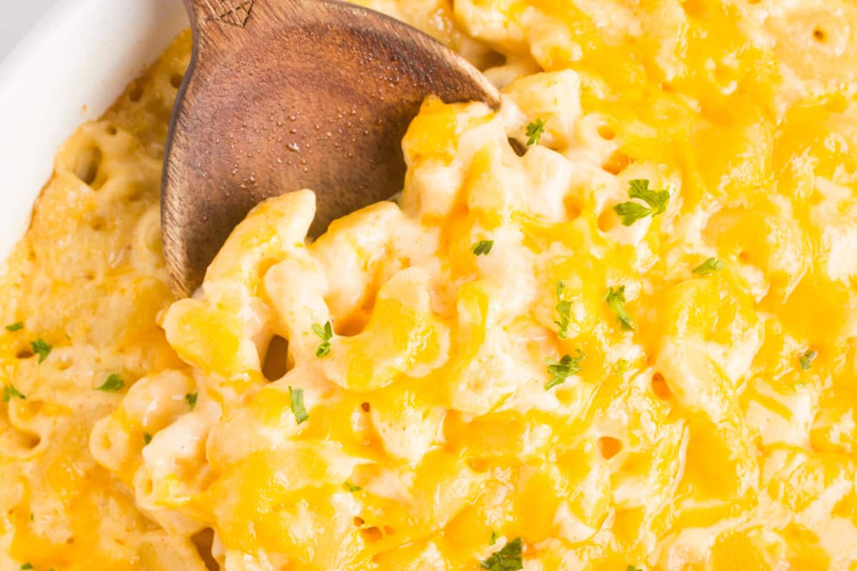 mac and cheese on a wooden spoon after baking in the oven
