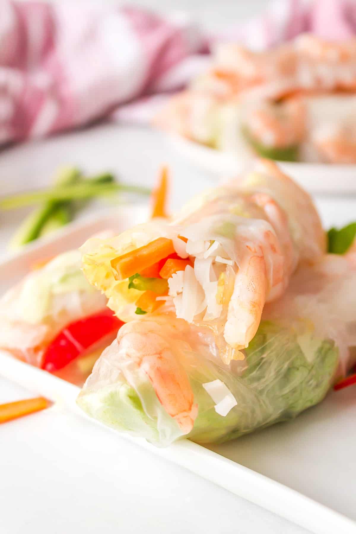 Close up of homemade spring roll.
