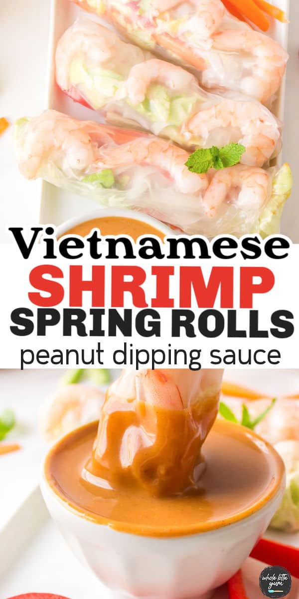 spring rolls recipes pin 2