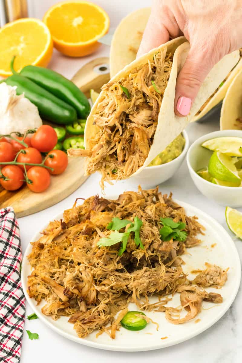 Someone holding carnitas in a warmed tortilla.