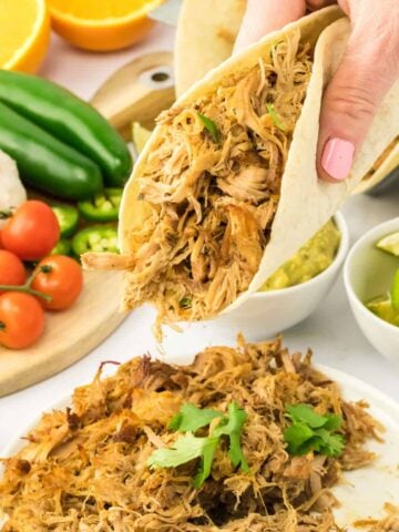 Someone holding carnitas in a warmed tortilla.