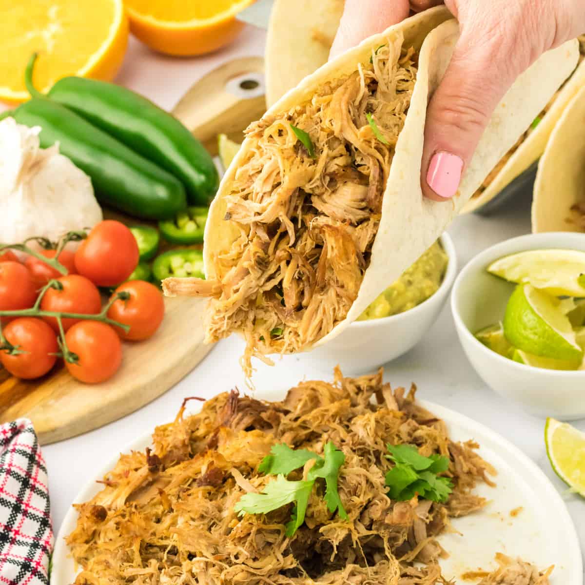 Someone holding carnitas in a warmed tortilla.