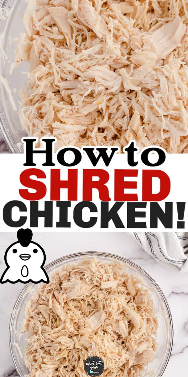 how to shred chicken pin