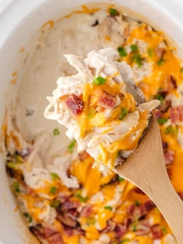 crock pot crack chicken 7 easy tasty recipe