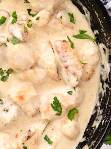 skillet chicken alfredo 7 beat alfredo recipe