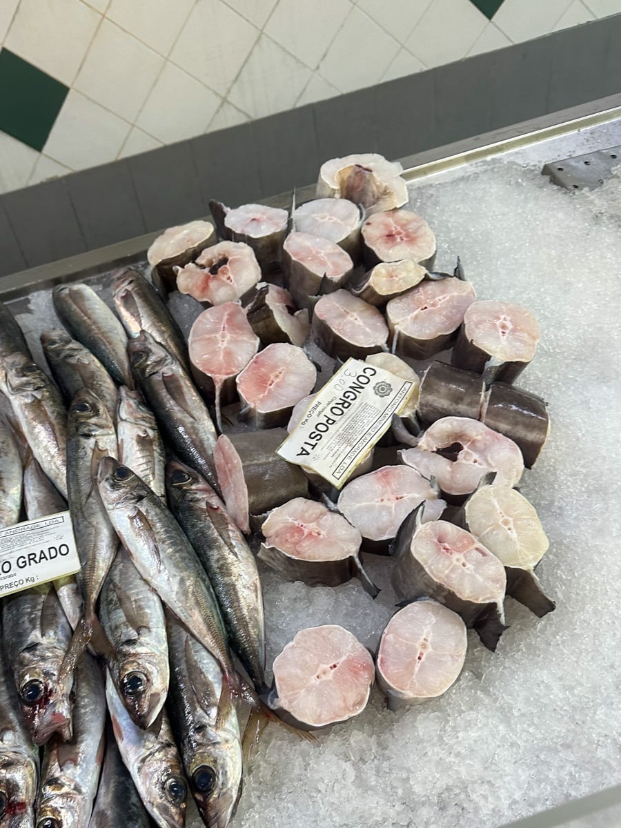 conger eel steaks at the fish market in the azores