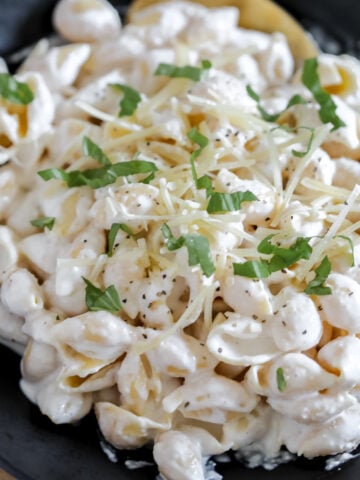 close up of cottage cheese alfredo with high protein pasta shells garnished with parmesan cheese and fresh basil