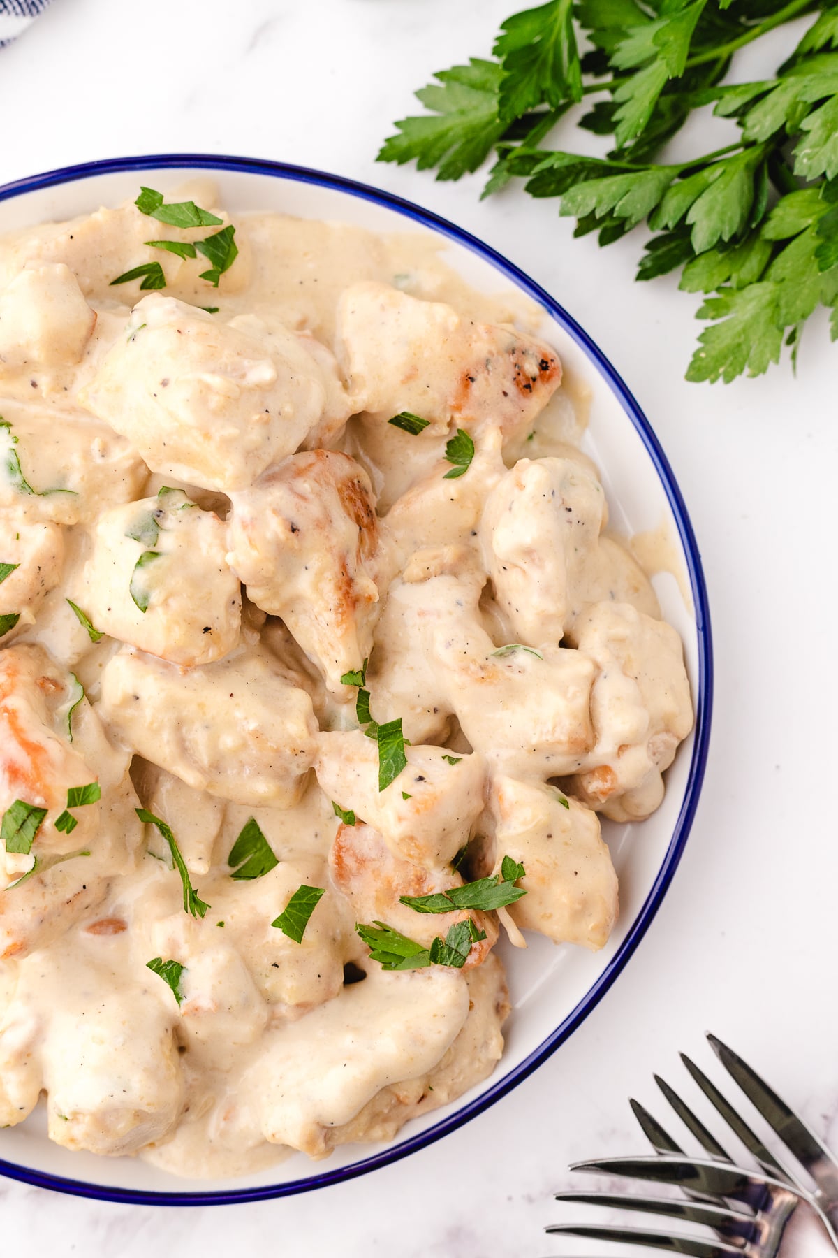 high protein chicken alfredo using chicken cubes on a white plate with a blue trim