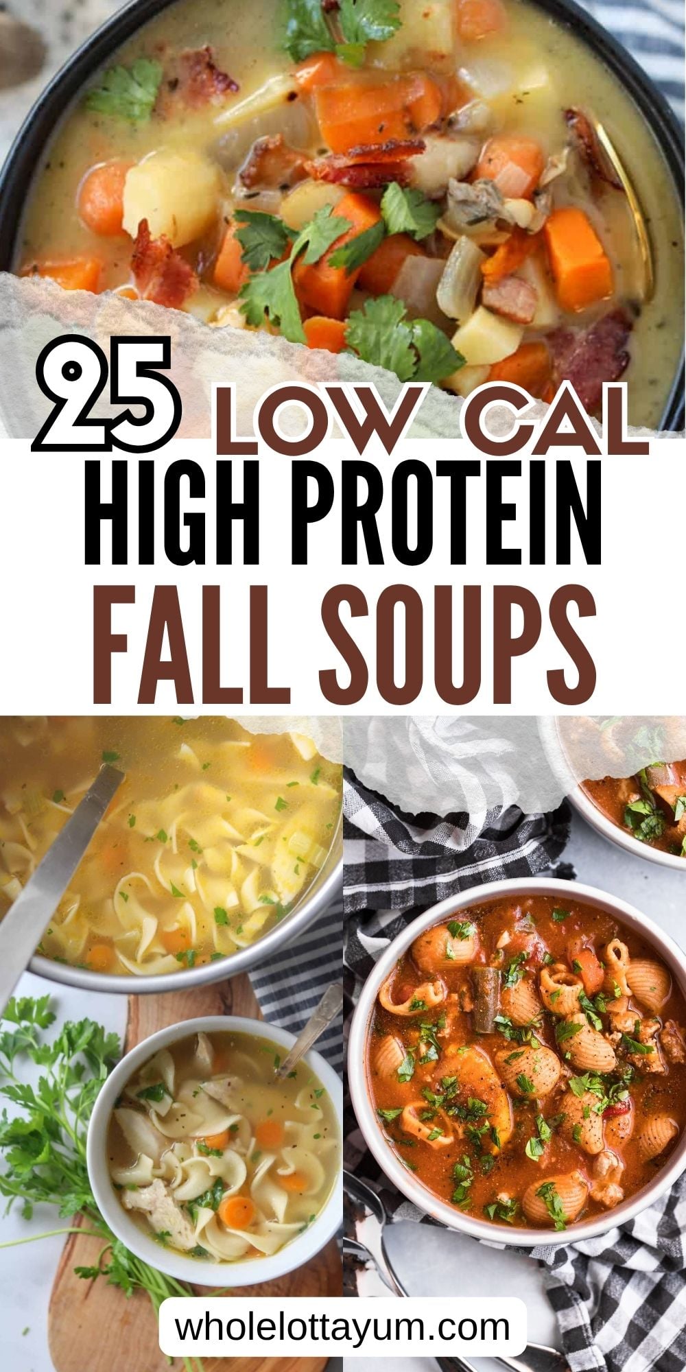 Low Calorie High Protein Soups for Fall